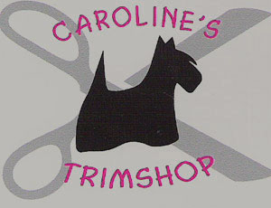 trimsalon